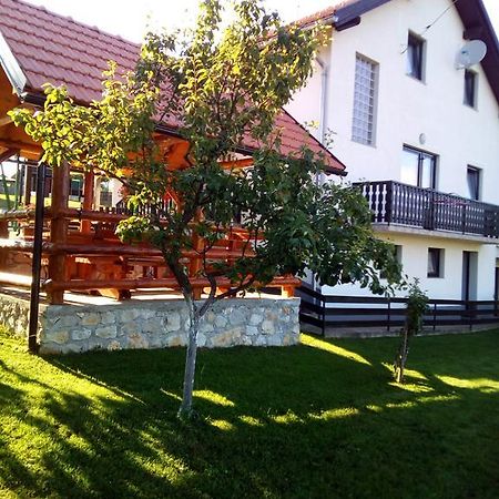 Apartments Dale Smoljanac Buitenkant foto