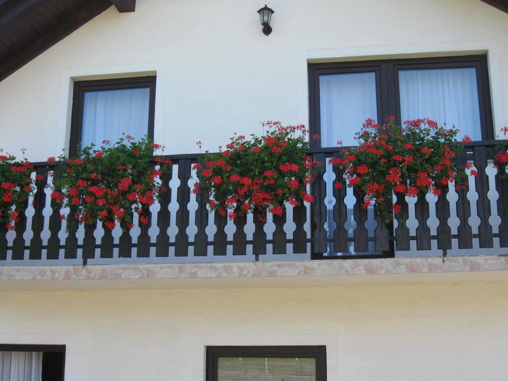 Apartments Dale Smoljanac Kamer foto