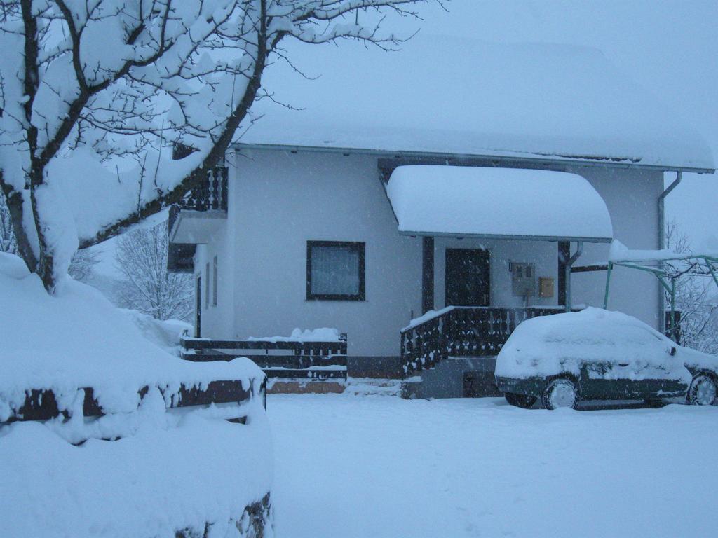 Apartments Dale Smoljanac Buitenkant foto