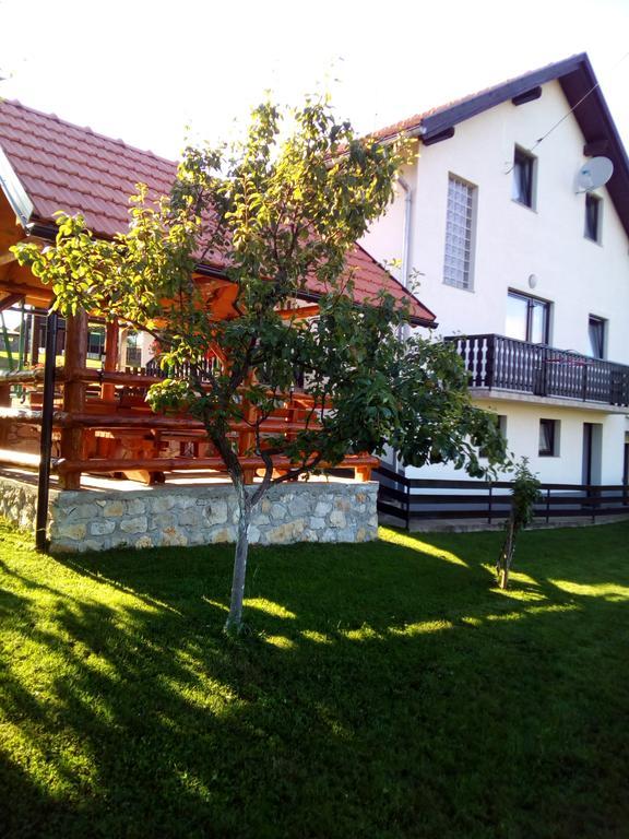 Apartments Dale Smoljanac Buitenkant foto